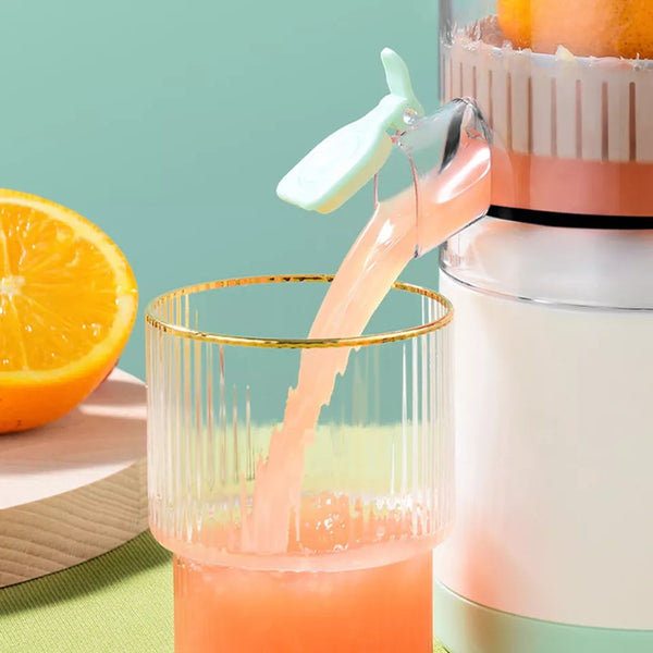 Premium Quality Imported Fruit Juicer Squeezer