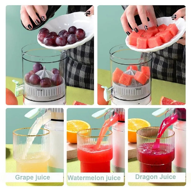 Premium Quality Imported Fruit Juicer Squeezer