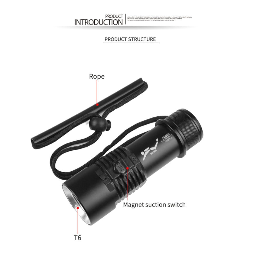 Professional Diving Flashlight