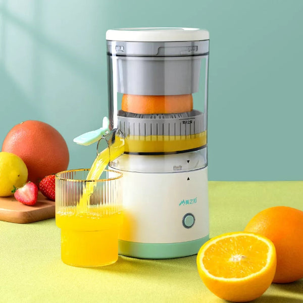 Premium Quality Imported Fruit Juicer Squeezer