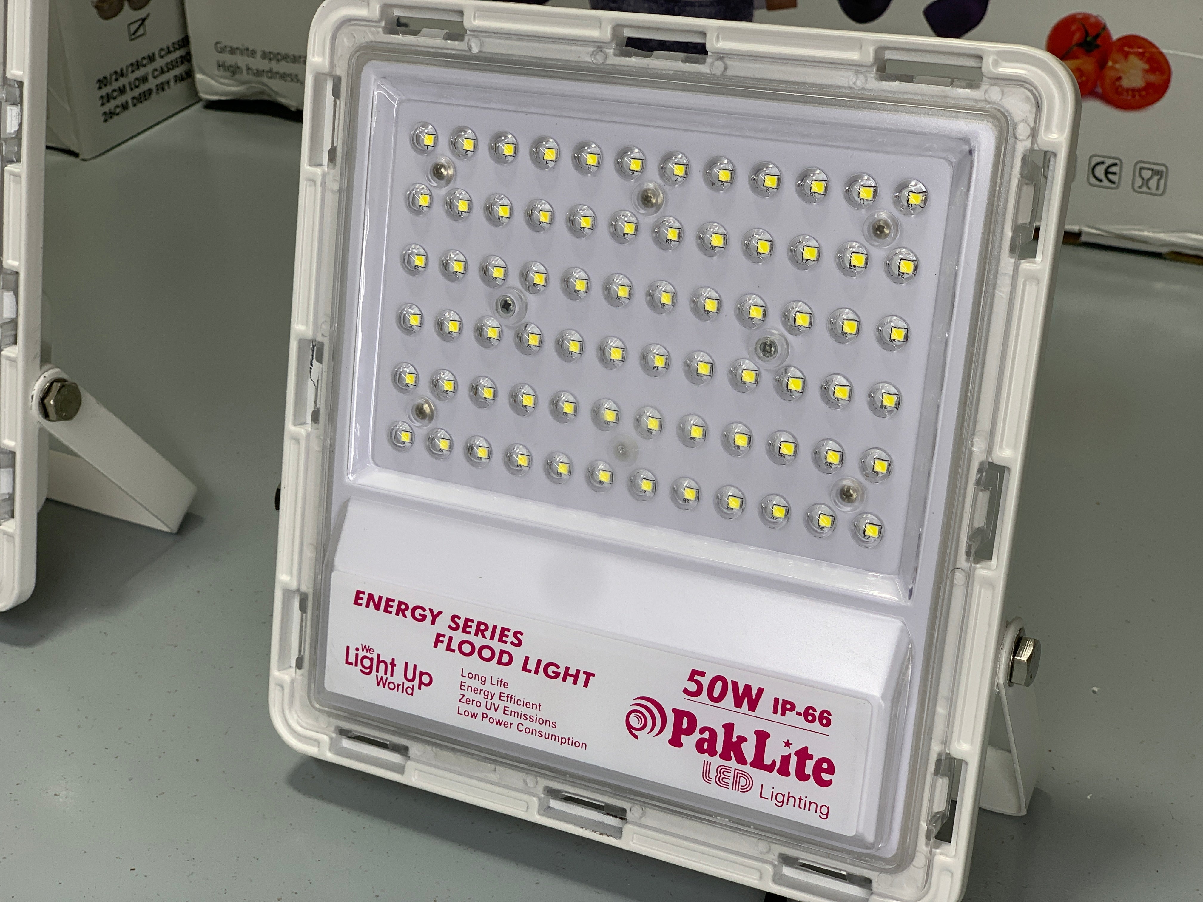 IP66 Electric Emergency Flood Light 50W and 100W