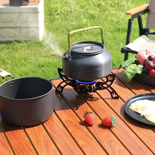 Outdoor Electronic Ignition Portable Stove