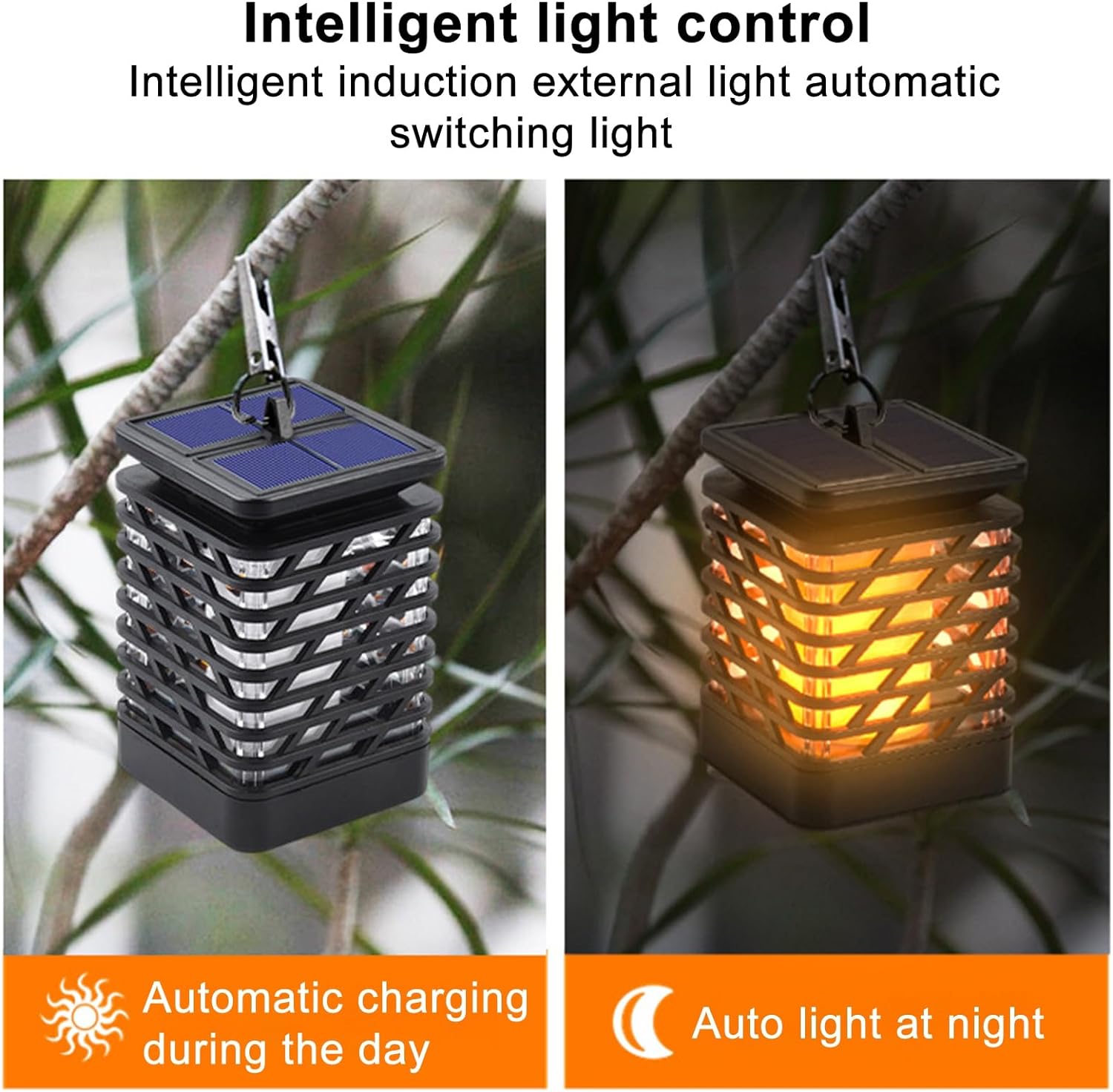 Solar Outdoor Light