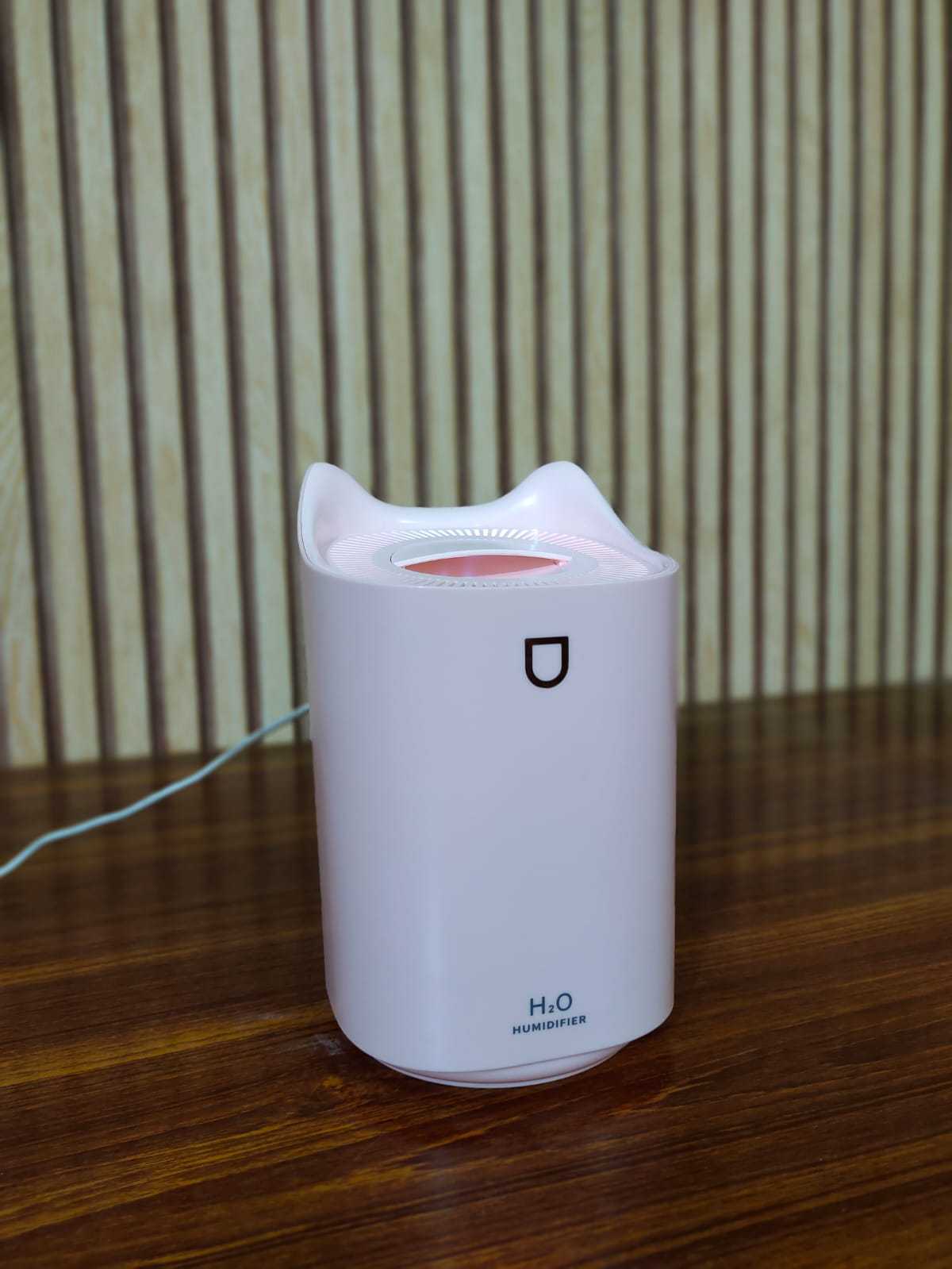 H20 Humidifiers