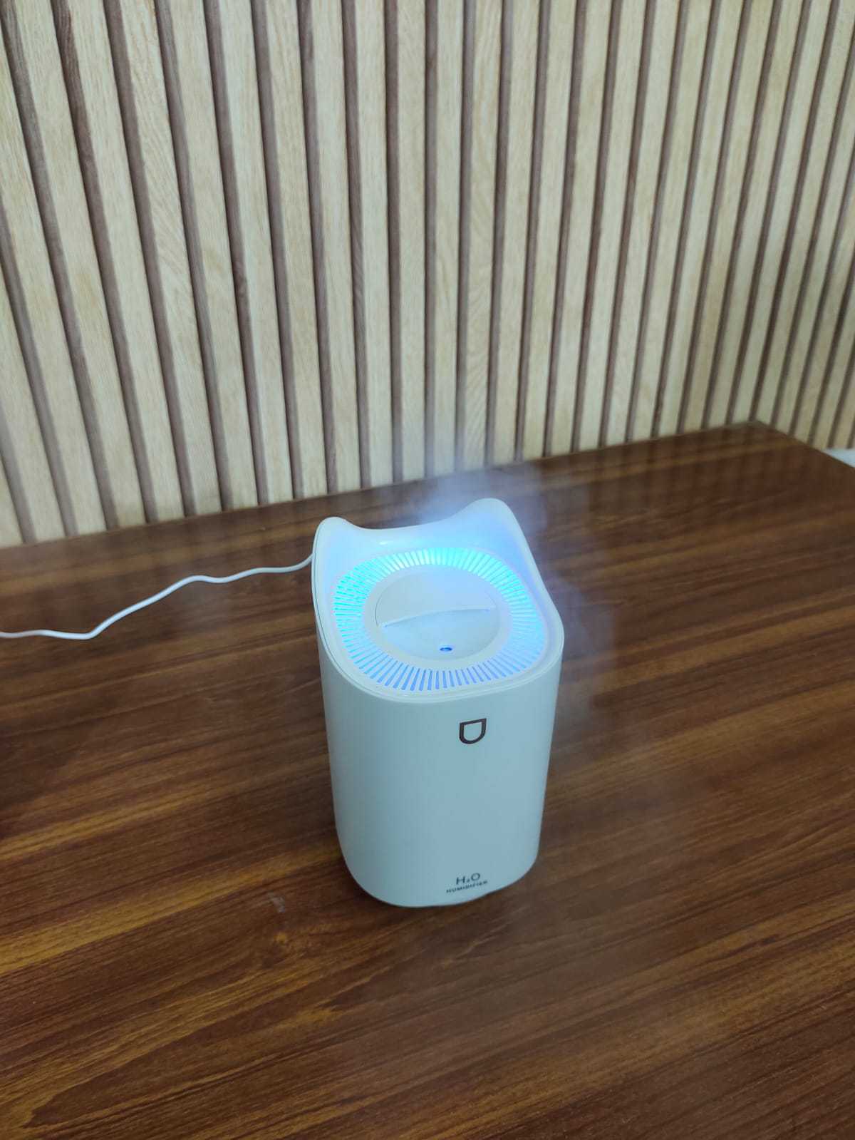 H20 Humidifiers