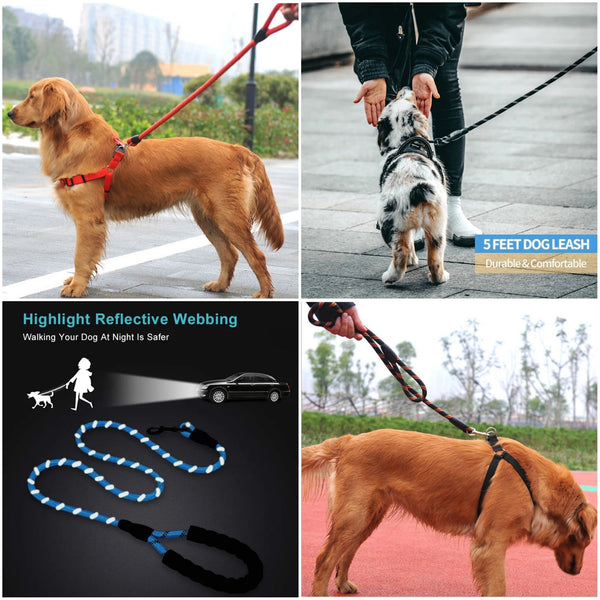 Dog Chest Back Leash Set Adjustable Chest Back Traction Rope Pet Nylon Durable Outdoor Walking Rope Chain Belt Strong Protection